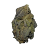 pink guava strain